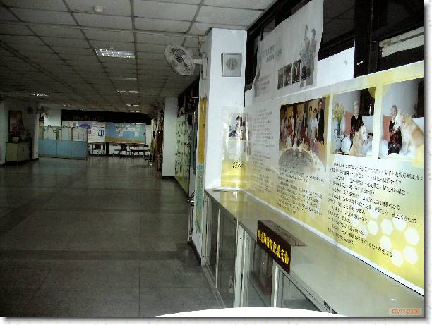 �I���[�ݭ�l�v���ɮ�