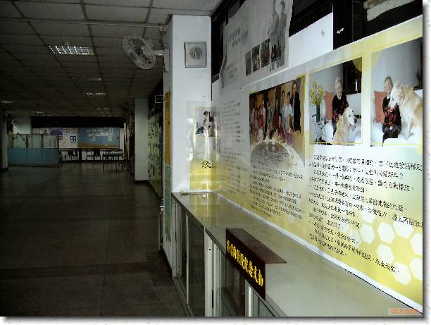 �I���[�ݭ�l�v���ɮ�